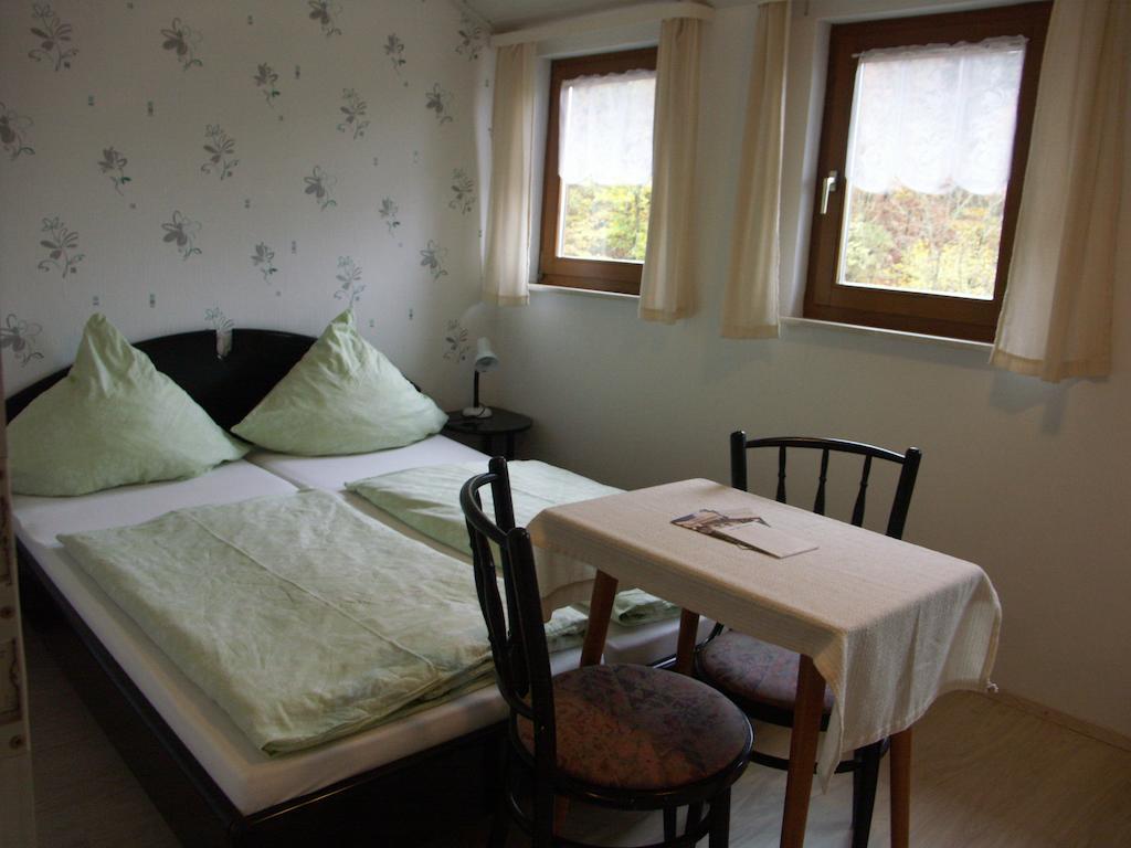 Waldpension Zum Felsenkeller Lichtenfels-Sachsenberg Εξωτερικό φωτογραφία